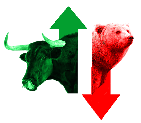 Bull and Bear Market Image